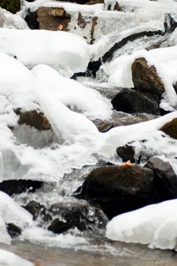 Küçük, aktif bir şelale. Temiz dağ deresi, karlı kış manzarası, vahşi yaşam geçmişi