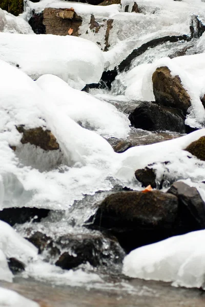 Küçük, aktif bir şelale. Temiz dağ deresi, karlı kış manzarası, vahşi yaşam geçmişi