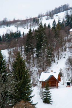 Dağın tepesinden, ormandaki donma ve alçak bulut manzarası.
