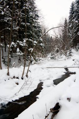 Kışın nehirler, kar ve buzla