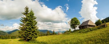 Ukrayna 'daki Karpat Dağları' nın Synevyr vadisinde yemyeşil ormanları ve bitkileri olan güzel doğa ve muhteşem manzara. Taze yeşil çayırlar ve açan kır çiçekleri..