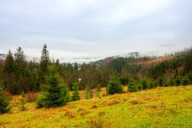 Ukrayna, Karpatlar. Sonbahar dağlarında sabah sisi var. Karlı dağlarla ve koşu sisiyle manzara.