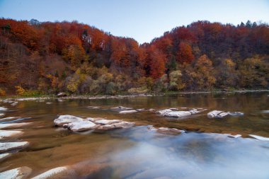 Sonbaharda şelalenin manzarası. Sonbahar renklerinde şelale. Sonbahar manzarasında dağ nehri. Ukrayna, Stryj Nehri.