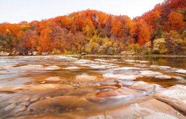 Sonbaharda şelalenin manzarası. Sonbahar renklerinde şelale. Sonbahar manzarasında dağ nehri. Ukrayna, Stryj Nehri.