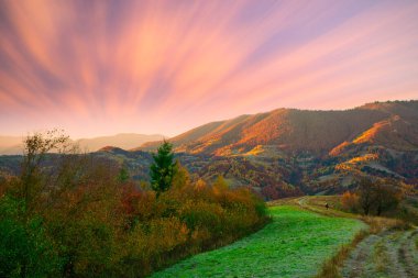 Ukrayna. Karpatlar 'da sonbahar sıcağı. Çok güzel resimler, kayın, huş ağacı ve çam ormanları Synevyr Dağları 'nın yamaçlarında gün batımına karşı parlak renklerle parıldıyor..