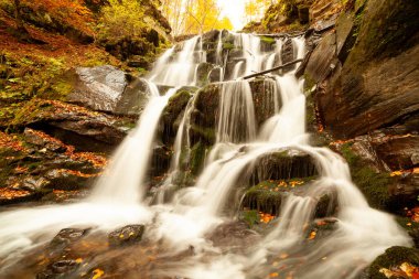 Ukpaine. Yosunlu kayaların arasında şelale. Günbatımında Karpat Dağları 'nda sonbahar ormanlarındaki bir nehirde güzel manzara akıntıları. Ulusal park Shypit Carpat 'ta gümüş akıntısı. Kuklalar.