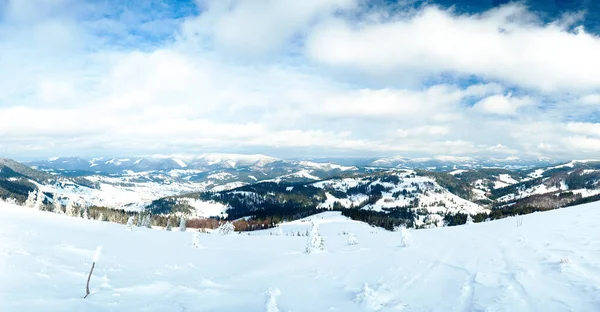 Karpaty, Ukraina. Wspaniałe, pokryte śniegiem pierwiastki na tle szczytów górskich. Panoramiczny widok na malowniczy śnieżny krajobraz zimowy. Wspaniały i cichy słoneczny dzień. — Zdjęcie stockowe