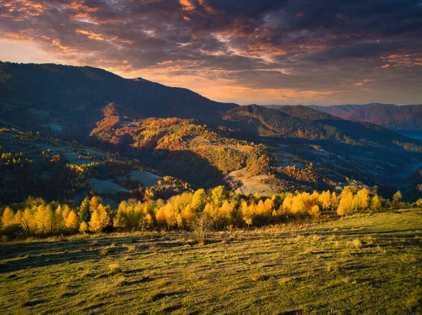 Ukraina. Wschód słońca w Karpatach, kolorowa mgła rozprzestrzenia się po dolinach i nizinach pasma górskiego, złote prerie są bardzo olśniewająco piękne. — Zdjęcie stockowe