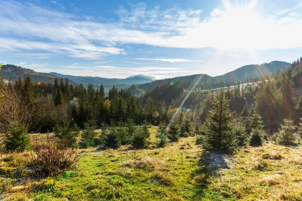 Sunny forest early in the morning. Sun breaks through the branches of first, forming beautiful rays in the air. Grass covered with frost. Carpathian Mountains. Ukraine — Stock Photo, Image