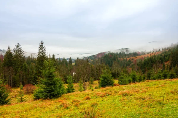 Ukrayna, Karpatlar. Sonbahar dağlarında sabah sisi var. Karlı dağlarla ve koşu sisiyle manzara.