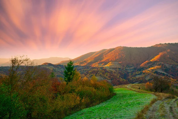 Ucrânia. Outono quente nos Cárpatos. Florestas pitorescas, faia, bétula e pinheiros muito bonitas nas encostas das montanhas Synevyr brilham com cores brilhantes contra o pano de fundo do pôr do sol. — Fotografia de Stock