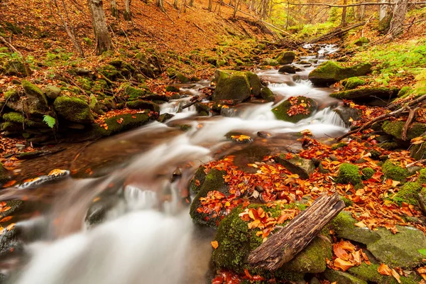 Ukpaine. Cascada entre las rocas musgosas. Hermosos rápidos de paisaje en un río de montañas en el bosque de otoño en las montañas de los Cárpatos al atardecer. Arroyo de plata en el parque nacional Shypit Carpat. Pilipets. —  Fotos de Stock