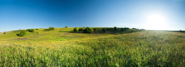 Landschaftlich reizvolle Agrarlandschaft mit saftig grünen Almhügeln und goldenem Raps in Blüte — Stockfoto
