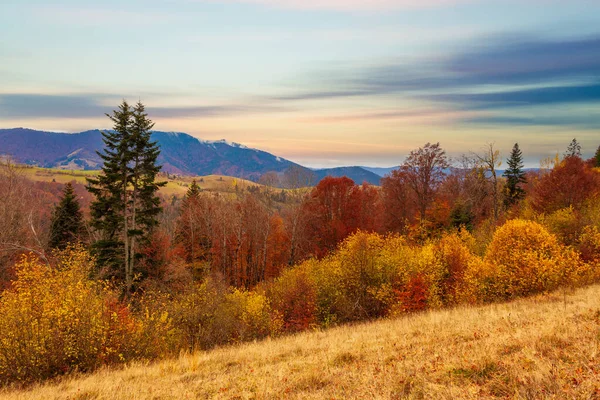 Karpatlar, Ukrayna. Sonbahar ormanı gölünün üzerindeki bulutlu gökyüzünde gün batımı. Kıyı seviyesinden görünüm, turuncu-sarı renkli görüntü.