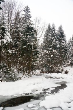 Kışın nehirler, kar ve buzla
