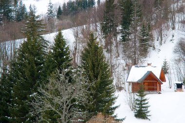 Dağın tepesinden, ormandaki donma ve alçak bulut manzarası.
