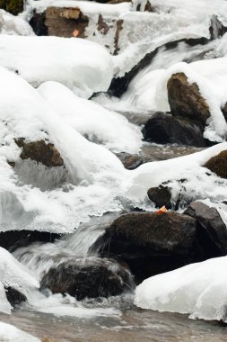 Küçük, aktif bir şelale. Temiz dağ deresi, karlı kış manzarası, vahşi yaşam geçmişi