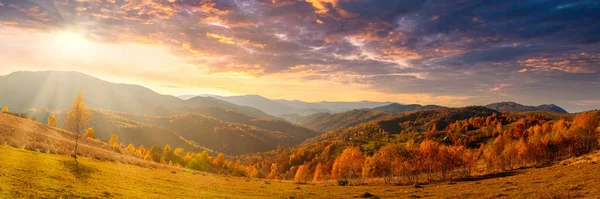 Ukrayna. Köyde ılık bir sonbahar. Resimli kayın, huş ağacı ve çam ağaçları ve Synevyr Geçidi 'nin zeminine karşı Hutsul evleri güzel bir günün ardından parlak renklerle çok güzeldir..