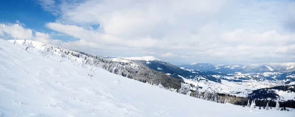 Karpaterna, Ukraina. Underbara snötäckta firar mot bakgrund av bergstoppar. Panoramautsikt över det pittoreska snöiga vinterlandskapet. Underbar och lugn solig dag. — Stockfoto