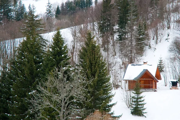 Dağın tepesinden, ormandaki donma ve alçak bulut manzarası.
