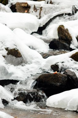 Küçük, aktif bir şelale. Temiz dağ deresi, karlı kış manzarası, vahşi yaşam geçmişi