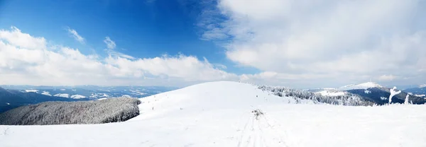 Carpathian mountains, Ukraine. Wonderful snow-covered firs against the backdrop of mountain peaks. Panoramic view of the picturesque snowy winter landscape. Gorgeous and quiet sunny day. — Stock Photo, Image