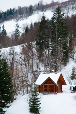 Dağın tepesinden, ormandaki donma ve alçak bulut manzarası.