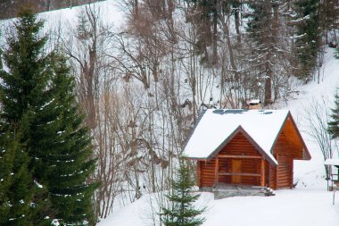 Dağın tepesinden, ormandaki donma ve alçak bulut manzarası.