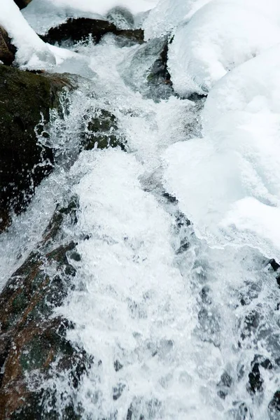 Küçük, aktif bir şelale. Temiz dağ deresi, karlı kış manzarası, vahşi yaşam geçmişi