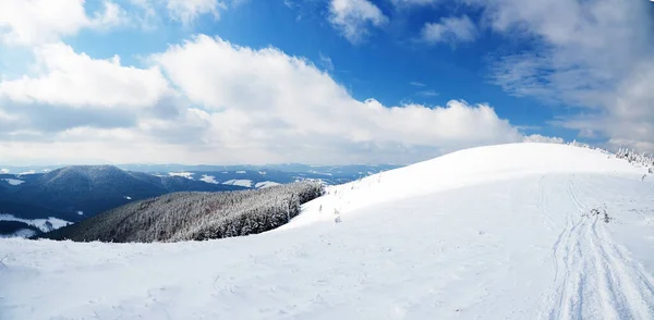 Karpaterna, Ukraina. Underbara snötäckta firar mot bakgrund av bergstoppar. Panoramautsikt över det pittoreska snöiga vinterlandskapet. Underbar och lugn solig dag. — Stockfoto
