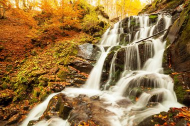 Ukpaine. Yosunlu kayaların arasında şelale. Günbatımında Karpat Dağları 'nda sonbahar ormanlarındaki bir nehirde güzel manzara akıntıları. Ulusal park Shypit Carpat 'ta gümüş akıntısı. Kuklalar.
