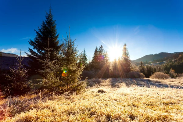 Ukraine. Wonderful early morning in the autumn mountains. Carpathian mountain range. Soft sunlight on glades and firs, frost on the grass. — Photo