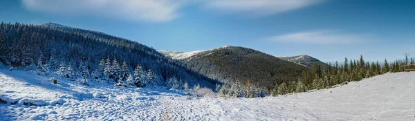 Ουκρανία. Γραφική θέα στα βουνά, κατάφυτη από δάσος και καλυμμένη με χιόνι. Τοπίο με Καρπάθια βουνά και λευκό χιόνι. Όμορφο χειμερινό πανόραμα βουνών και χιονιού. — Φωτογραφία Αρχείου