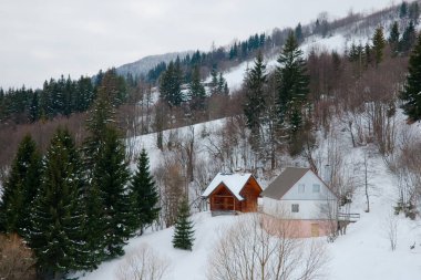 Dağın tepesinden, ormandaki donma ve alçak bulut manzarası.
