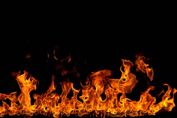 Köye yakın ağaçlık alanda çiçekler açıyor. Çiçeklere yakın çekim.