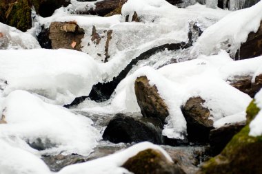Küçük, aktif bir şelale. Temiz dağ deresi, karlı kış manzarası, vahşi yaşam geçmişi