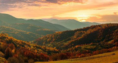 Ukrayna. Köyde ılık bir sonbahar. Resimli kayın, huş ağacı ve çam ağaçları ve Synevyr Geçidi 'nin zeminine karşı Hutsul evleri güzel bir günün ardından parlak renklerle çok güzeldir..