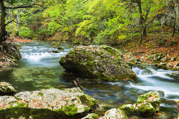 Summer day forest stream water with motion blur waves