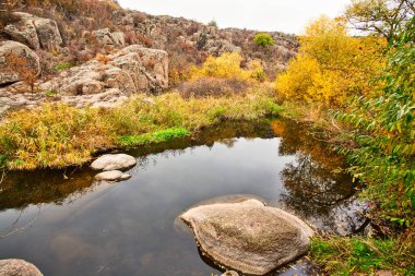 Güzel bir kanyon boyunca akan küçük, harika bir göl. Suda kocaman kapaklar var. Ukrayna.