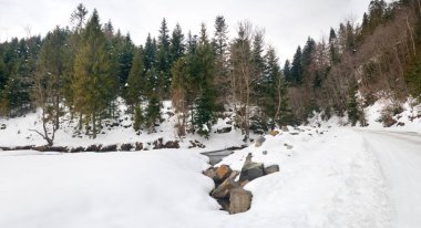 Karpat Dağları, Ukrayna. Kış dağlarında karla kaplı ağaçlar - Noel karlı zemin