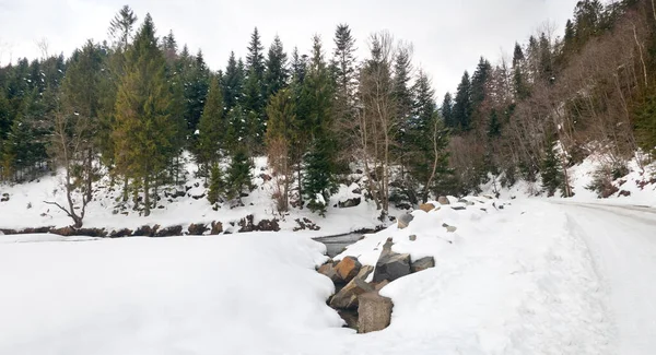 Karpat Dağları, Ukrayna. Kış dağlarında karla kaplı ağaçlar - Noel karlı zemin