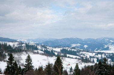 Dağın tepesinden, ormandaki donma ve alçak bulut manzarası.