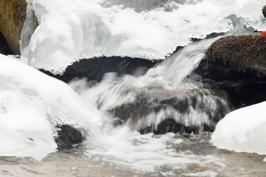 Küçük, aktif bir şelale. Temiz dağ deresi, karlı kış manzarası, vahşi yaşam geçmişi