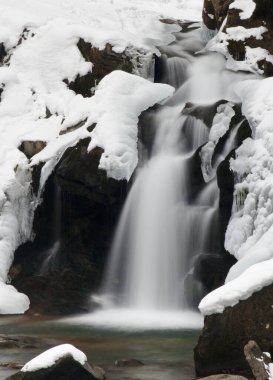 Küçük, aktif bir şelale. Temiz dağ deresi, karlı kış manzarası, vahşi yaşam geçmişi