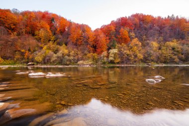 Sonbaharda şelalenin manzarası. Sonbahar renklerinde şelale. Sonbahar manzarasında dağ nehri. Ukrayna, Stryj Nehri.