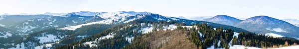 Op het gazon bedekt met sneeuw die de mooie bomen staan gegoten met sneeuwvlokken in ijzige winterdag — Stockfoto