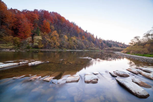 Sonbaharda şelalenin manzarası. Sonbahar renklerinde şelale. Sonbahar manzarasında dağ nehri. Ukrayna, Stryj Nehri.