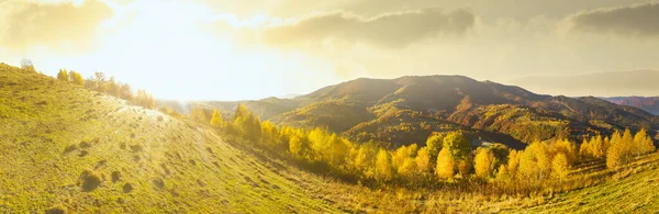 Ukraine. Sonnenaufgang in den Karpaten, farbiger Nebel breitet sich über die Täler und Niederungen der Gebirgskette aus, goldene Prärien sind sehr blendend schön. — Stockfoto