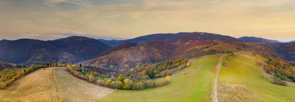 Ukraina. Soluppgången skiner i Karpaterna, färgad dimma sprider sig över dalar och lågland i bergskedjan, gyllene prärier är mycket bländande vacker. — Stockfoto