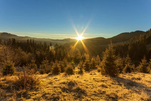 Sunny forest early in the morning. Sun breaks through the branches of first, forming beautiful rays in the air. Grass covered with frost. Carpathian Mountains. Ukraine — Stock Photo, Image